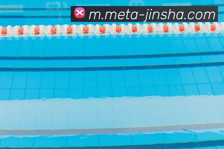 金沙娱乐平台生态图